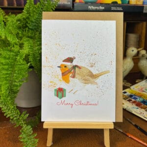 Robin wrapped up Christmas Card